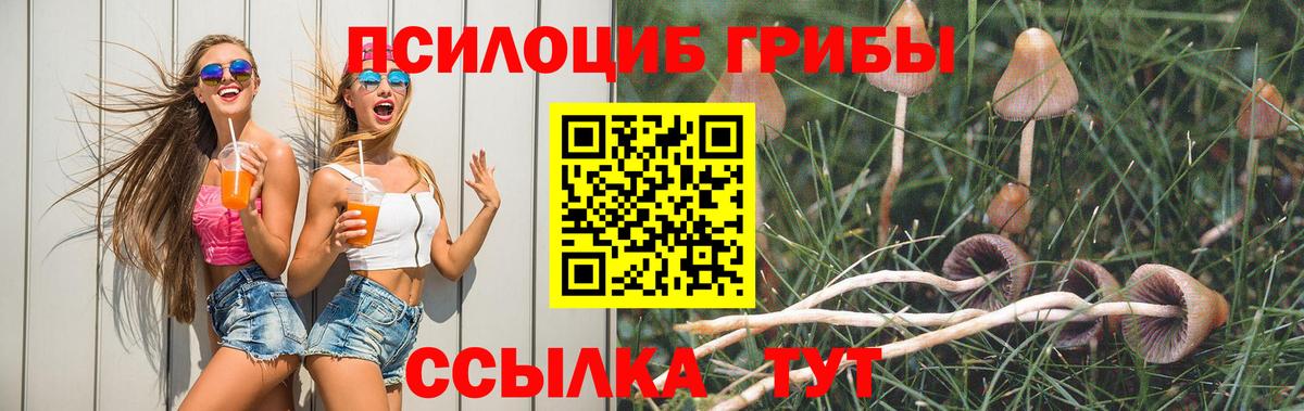 Корсаков  как найти закладки  Вход с VPN  Псилоцибиновые грибы Magic Shrooms 