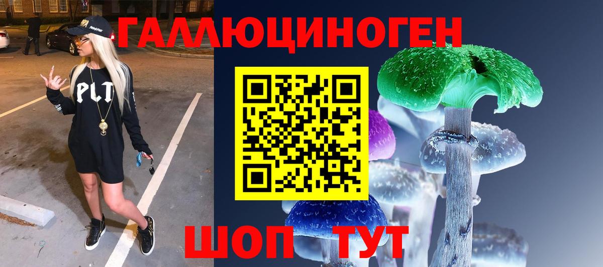 Псилоцибиновые грибы Cubensis Корсаков